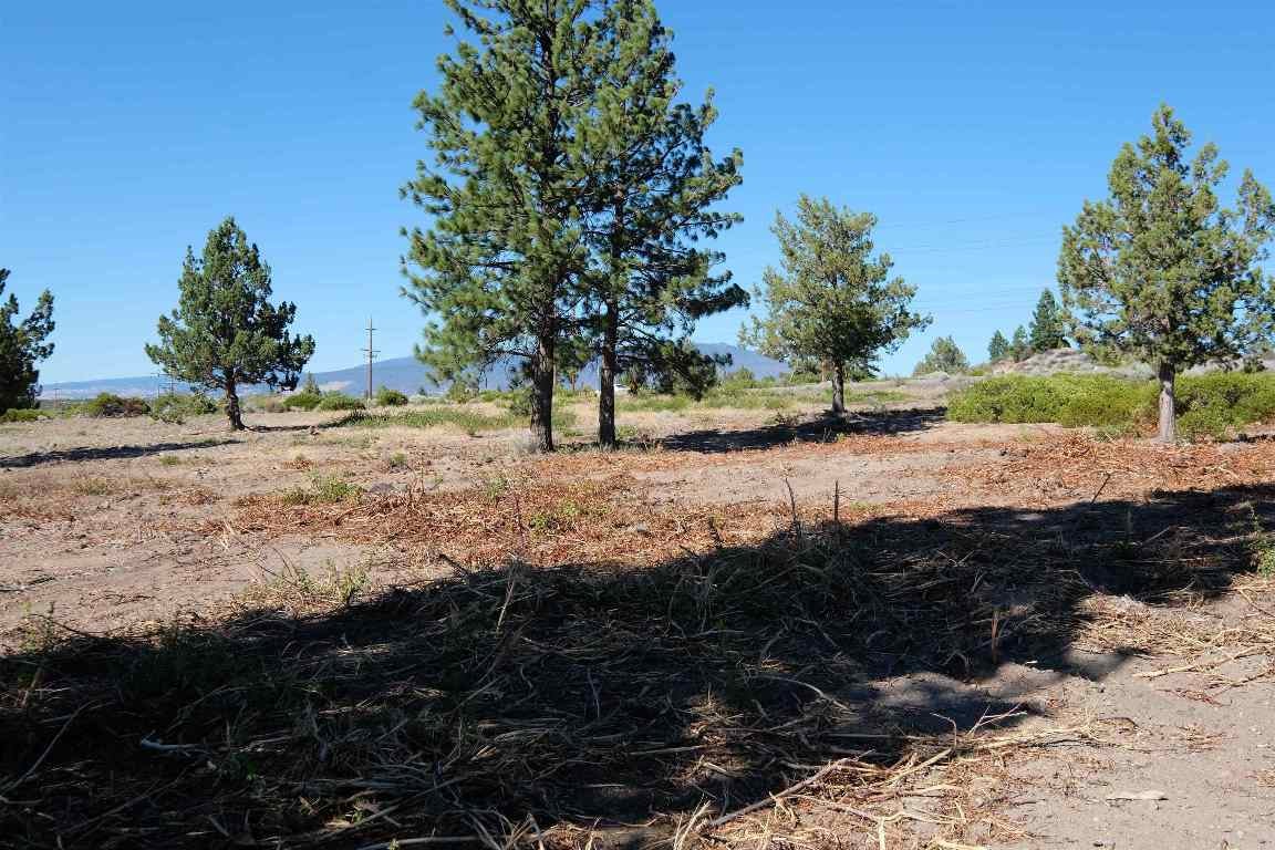 Lot 83-unit 7-2 Black Bear Road Weed, CA 96094 - Photo 11 of 21 Gallery Image 11