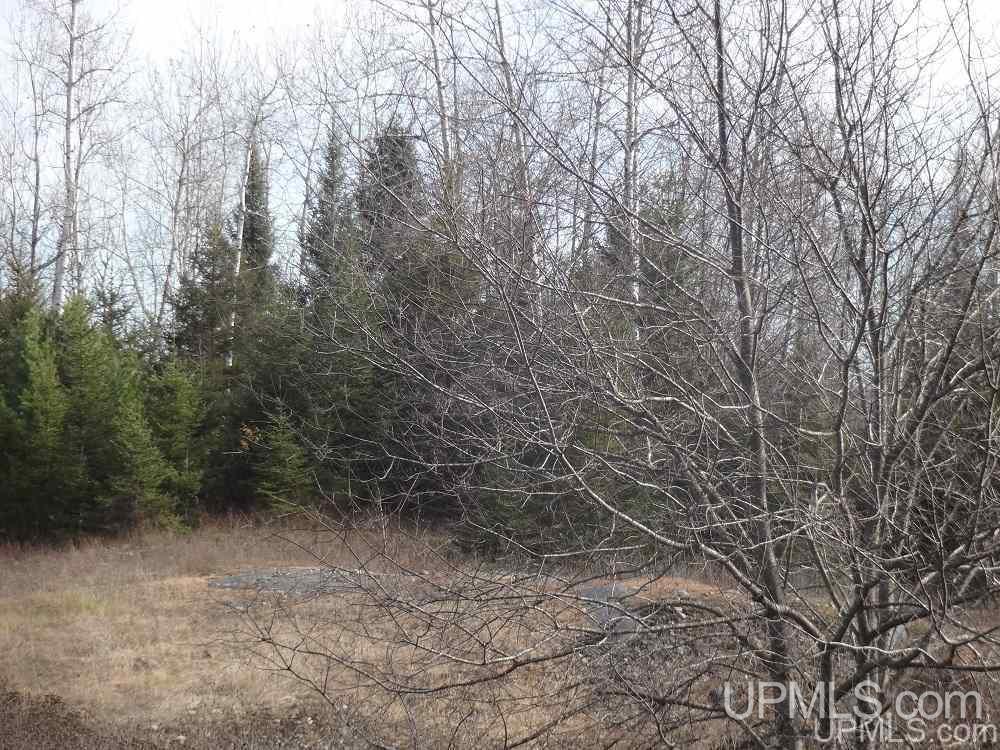 Tbd Corral Road, Unit 15 Alpha, MI 49902 - Photo 2 of 4 Gallery Image 2