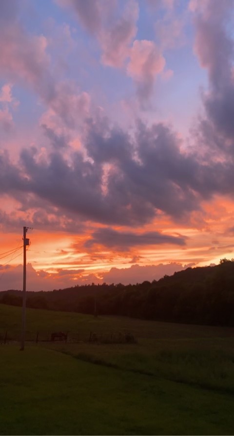 2206 Hagan Road Prospect, TN 38477 - Photo 27 of 30