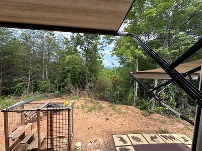 667 Long Branch Road Marble, NC 28905 - Photo 23 of 48 Gallery Image 23