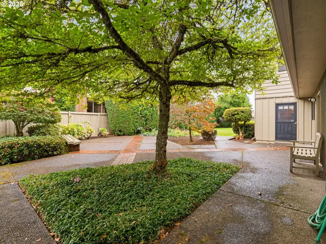 a front view of a house with a yard and an trees
