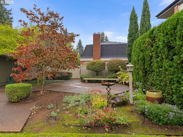 a view of a backyard