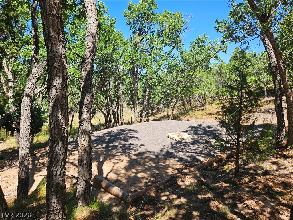 495 West Lutherwood Road Alton, UT 84710 - Photo 33 of 35 A clearing with a fire pit offers a serene outdoor retreat amidst verdant trees.