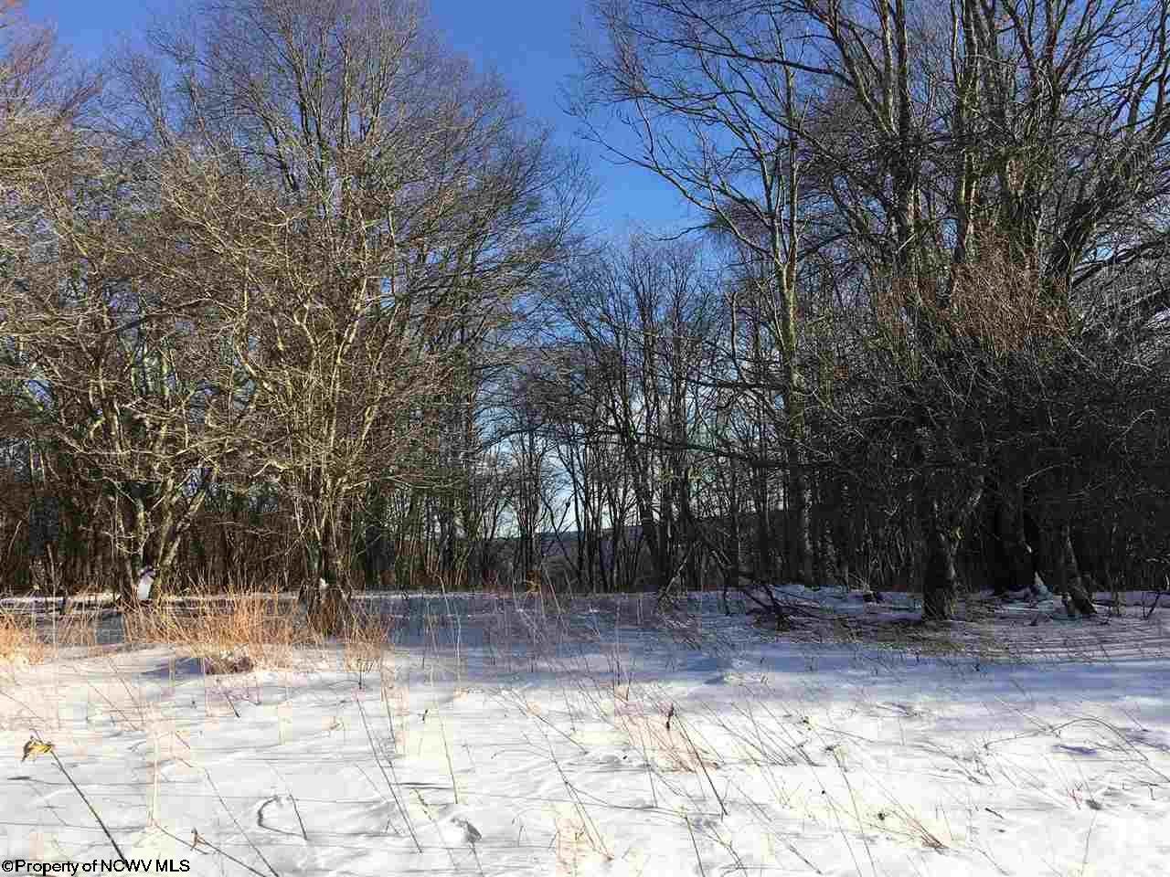 14 Pointy Knob Road Davis, WV 26260 - Photo 8 of 14 Gallery Image 8