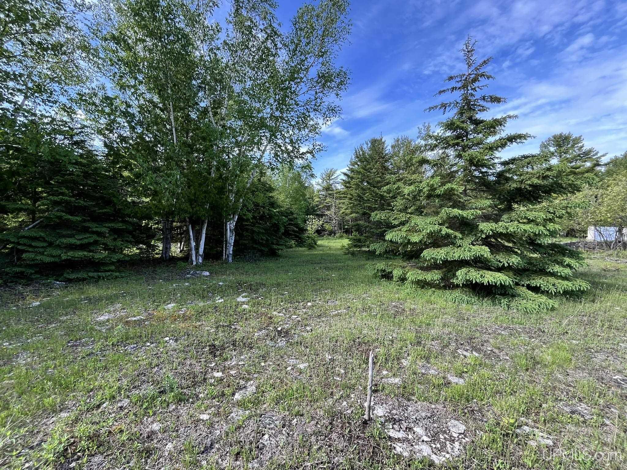Tbd 16th Road Garden, MI 49835 - Photo 28 of 37