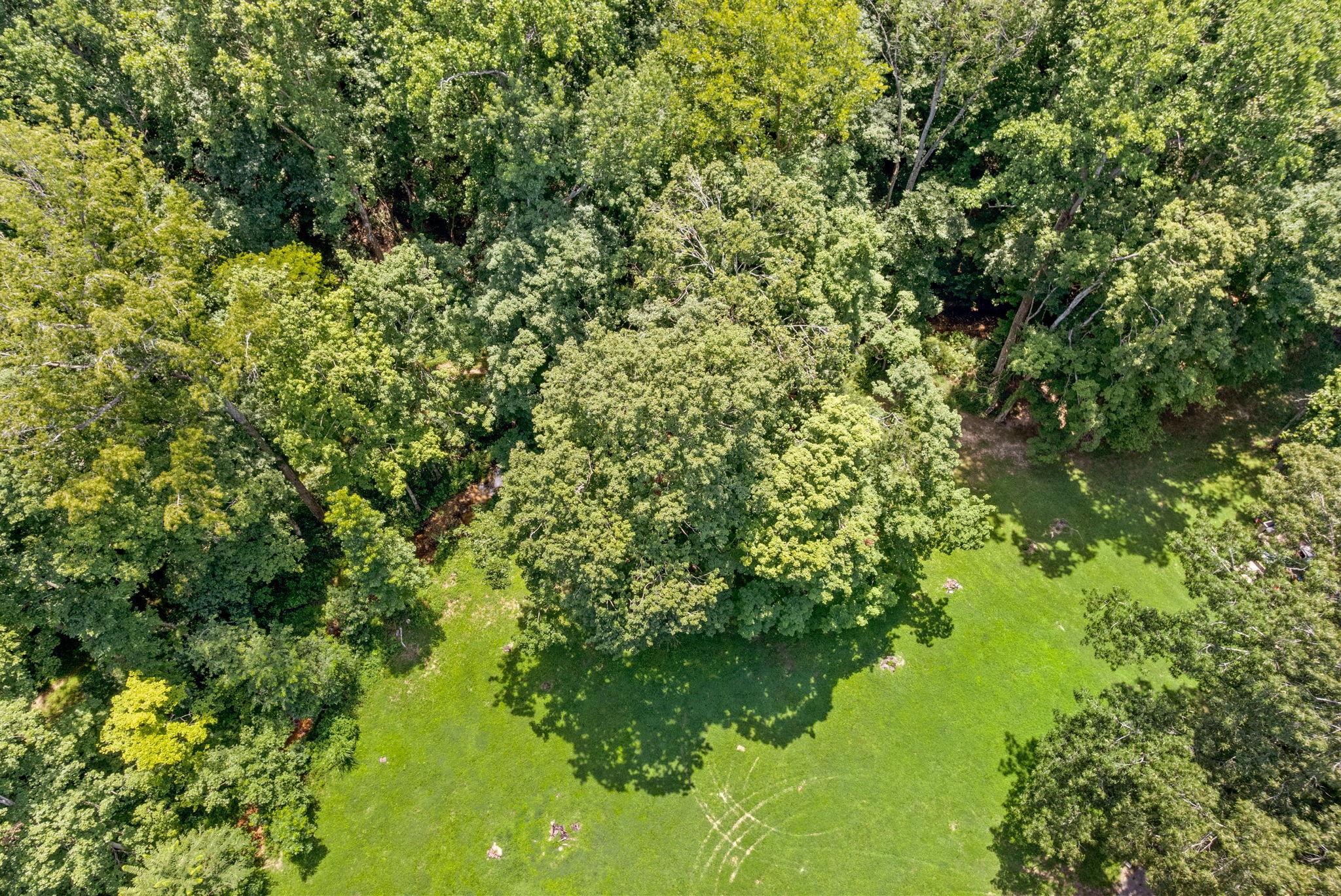 1852 Mimi Road Clarksville, TN 37040 - Photo 33 of 39 Gallery Image 33