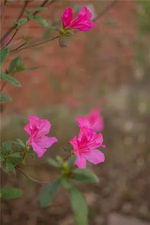 $175,000 | 1504 Emanuel Street, Natchitoches, LA 71457