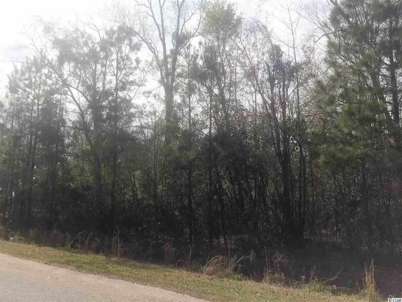Lot 2 Allen Street Loris, SC 29569 - Photo 1 of 2 Gallery Image 1