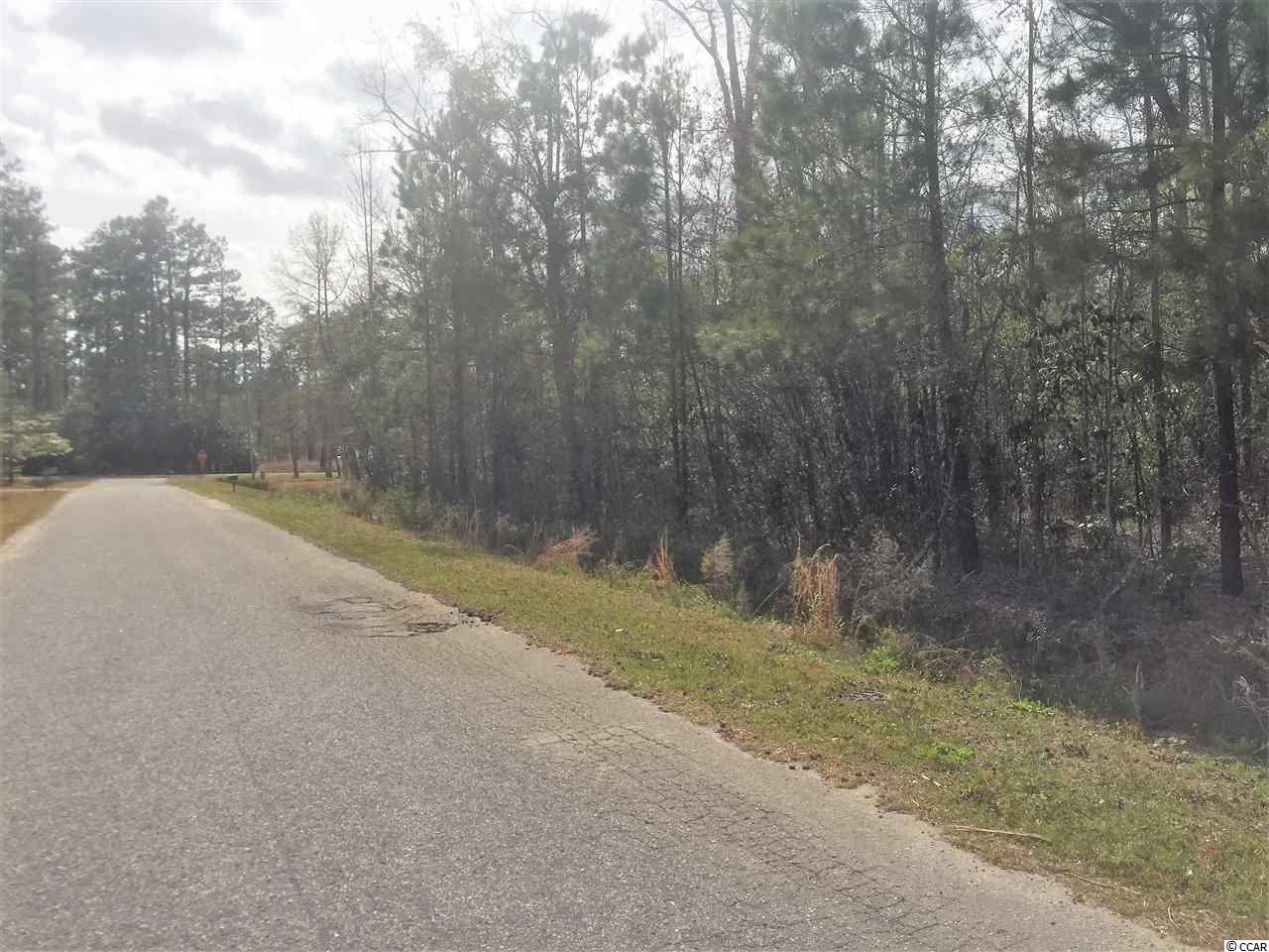 Lot 2 Allen Street Loris, SC 29569 - Photo 2 of 2 Gallery Image 2