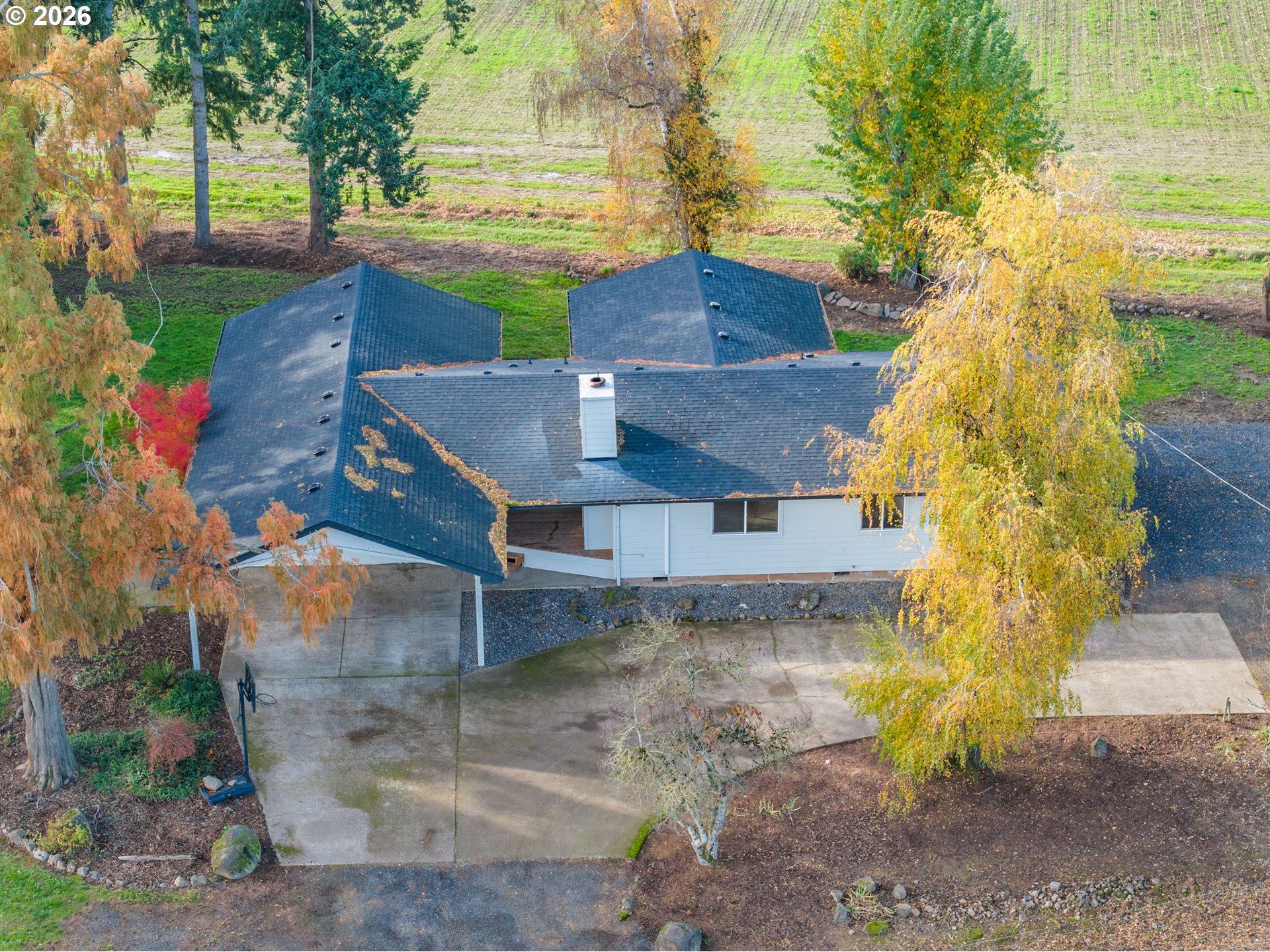 10471 Wagon Road Northeast Mount Angel, OR 97362 - Photo 41 of 48 a view of a house with a yard