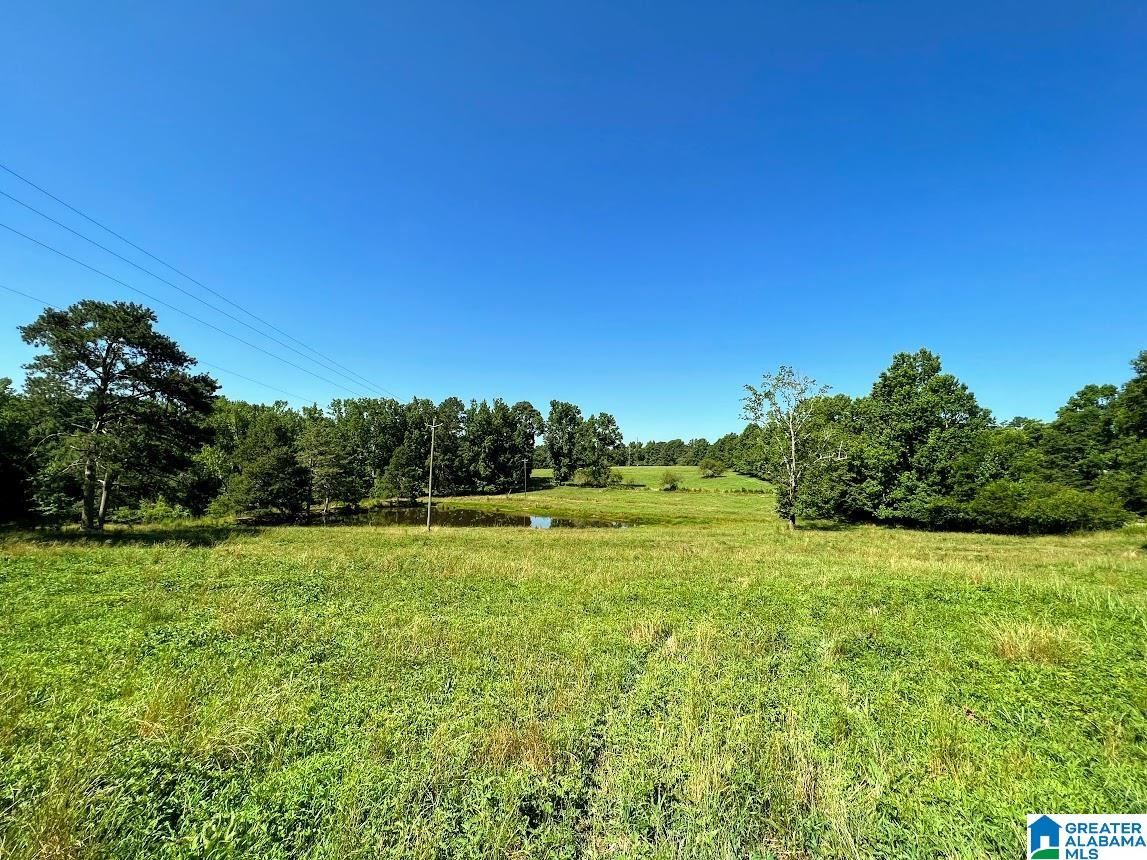 0 County Road 10, Unit X Ranburne, AL 36273 - Photo 12 of 32