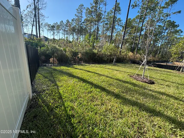 a view of a backyard with large trees