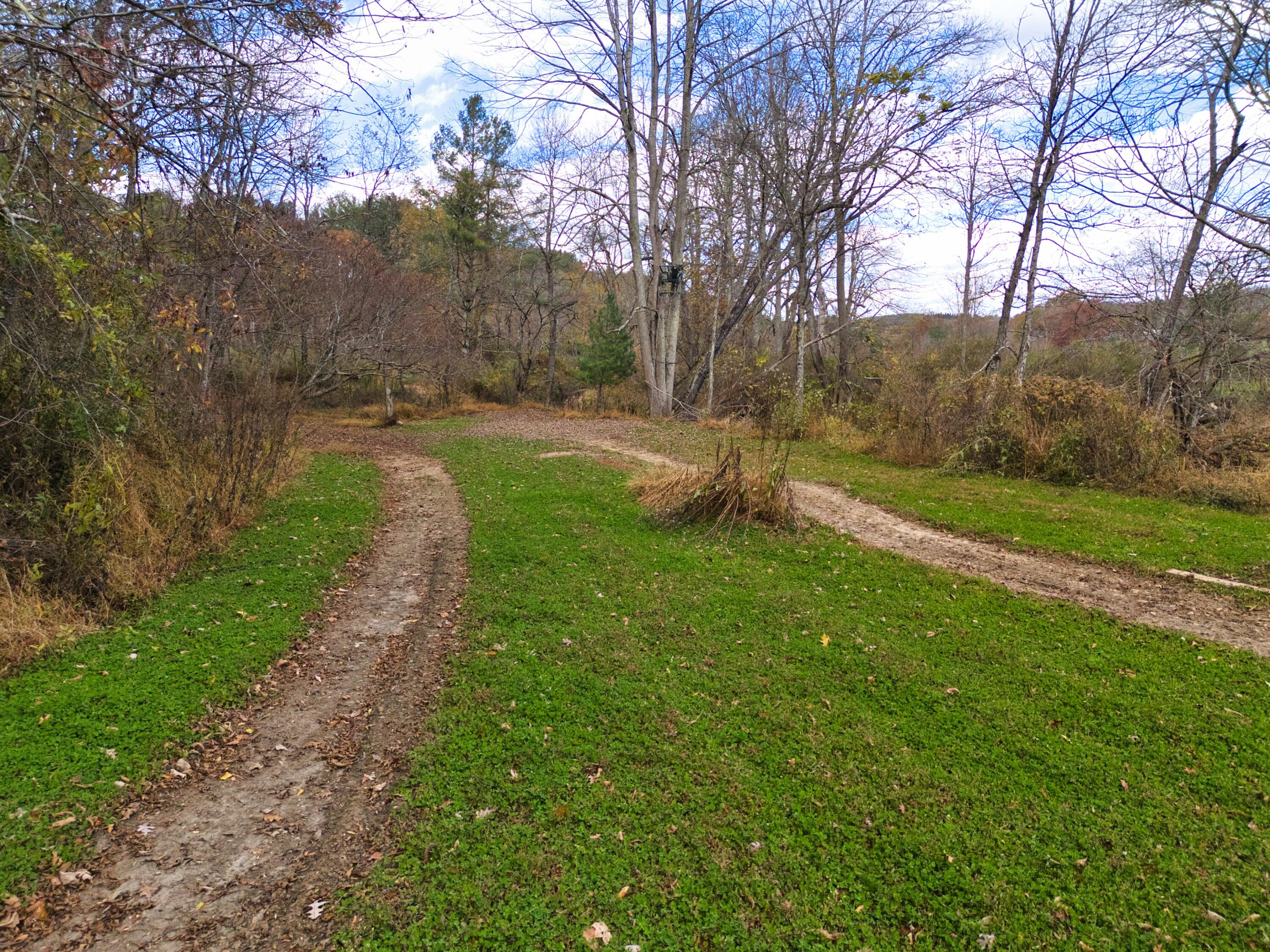 220 Annie Lane Southwest Floyd, VA 24091 - Photo 101 of 111 98 DJI_20251023141006_0416_D