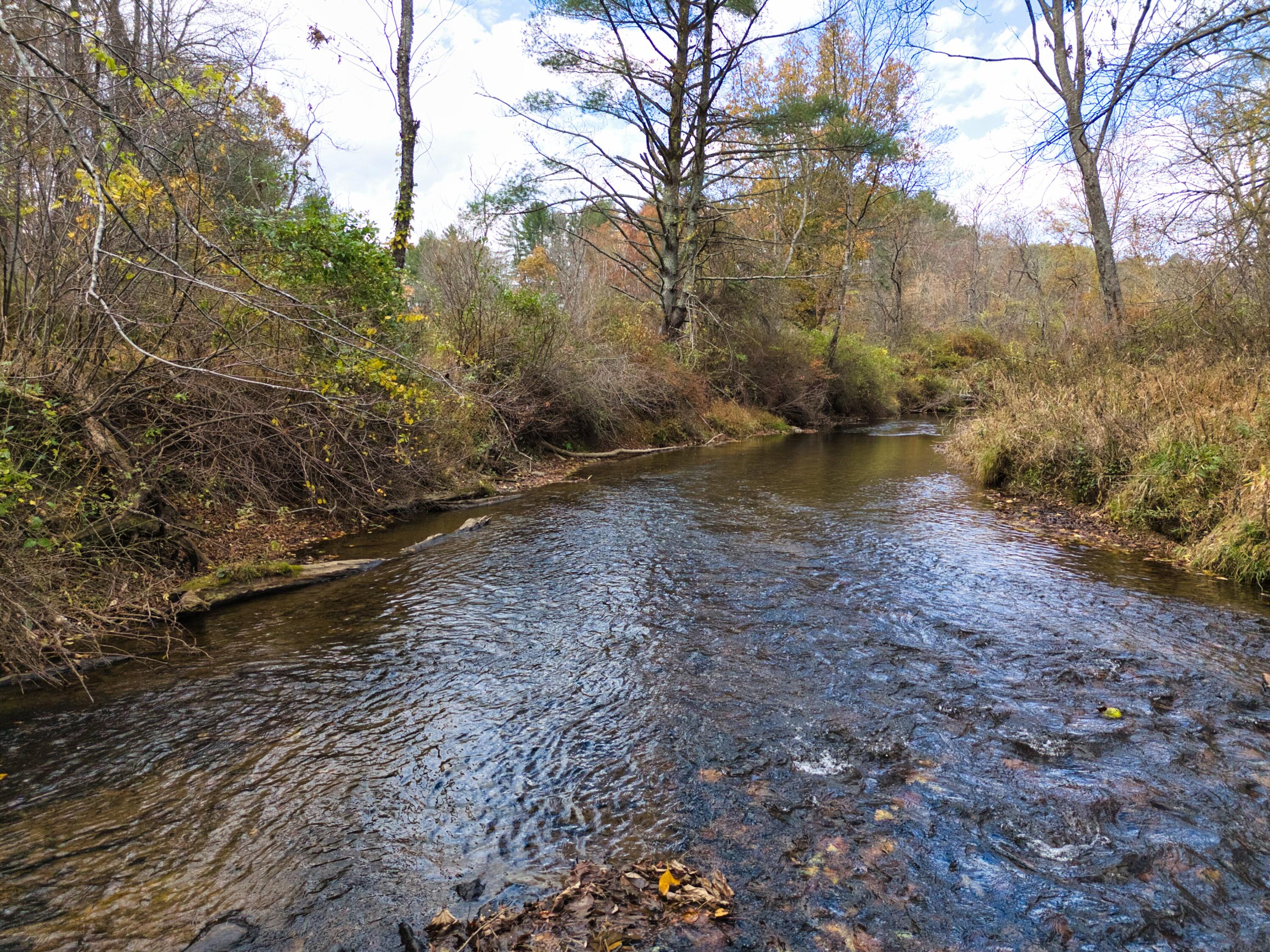 220 Annie Lane Southwest Floyd, VA 24091 - Photo 104 of 111 101 DJI_20251023141133_0420_D
