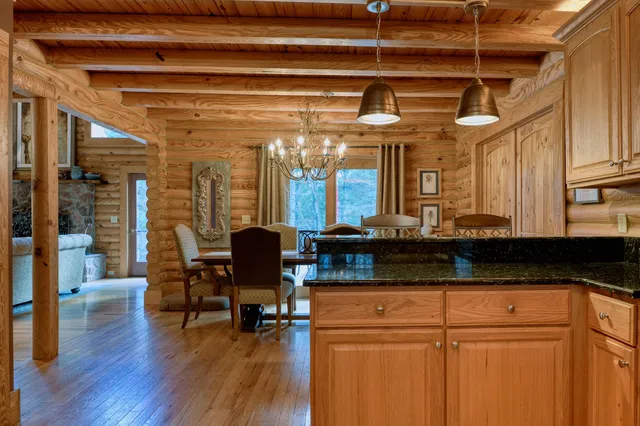 a kitchen with a sink and a potted plant