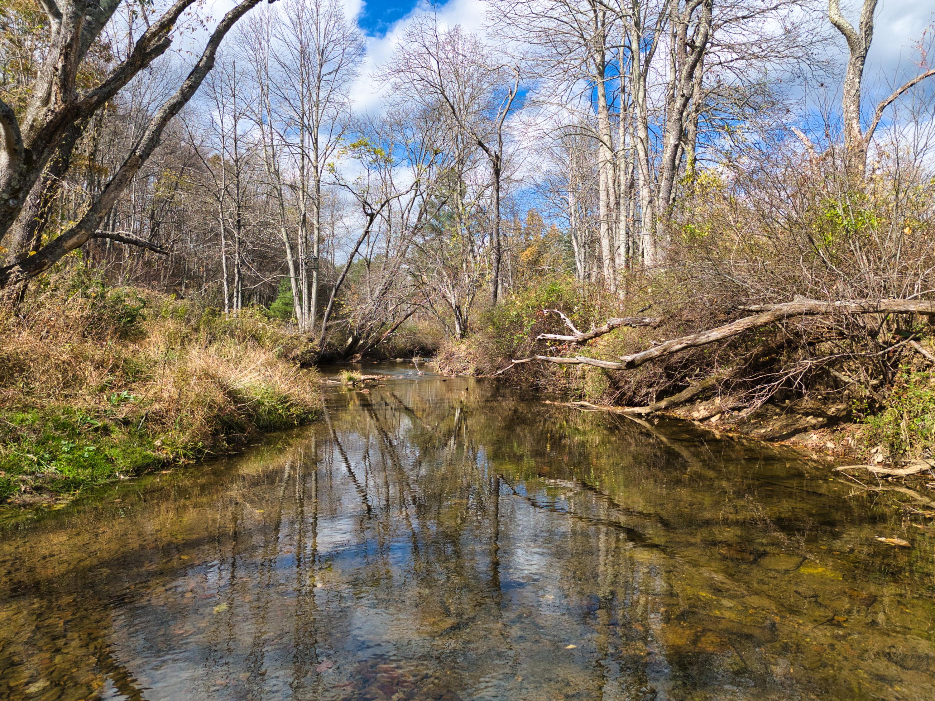 220 Annie Lane Southwest Floyd, VA 24091 - Photo 98 of 111 96 DJI_20251023140823_0413_D