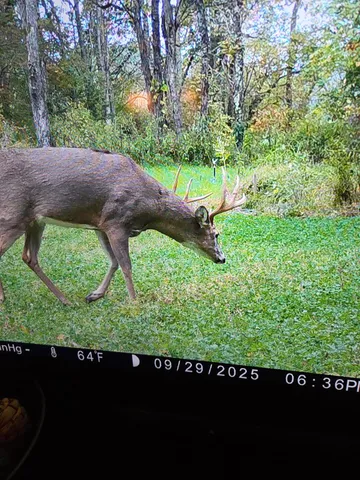 $824,900 | 220 Annie Lane Southwest, Floyd, VA 24091