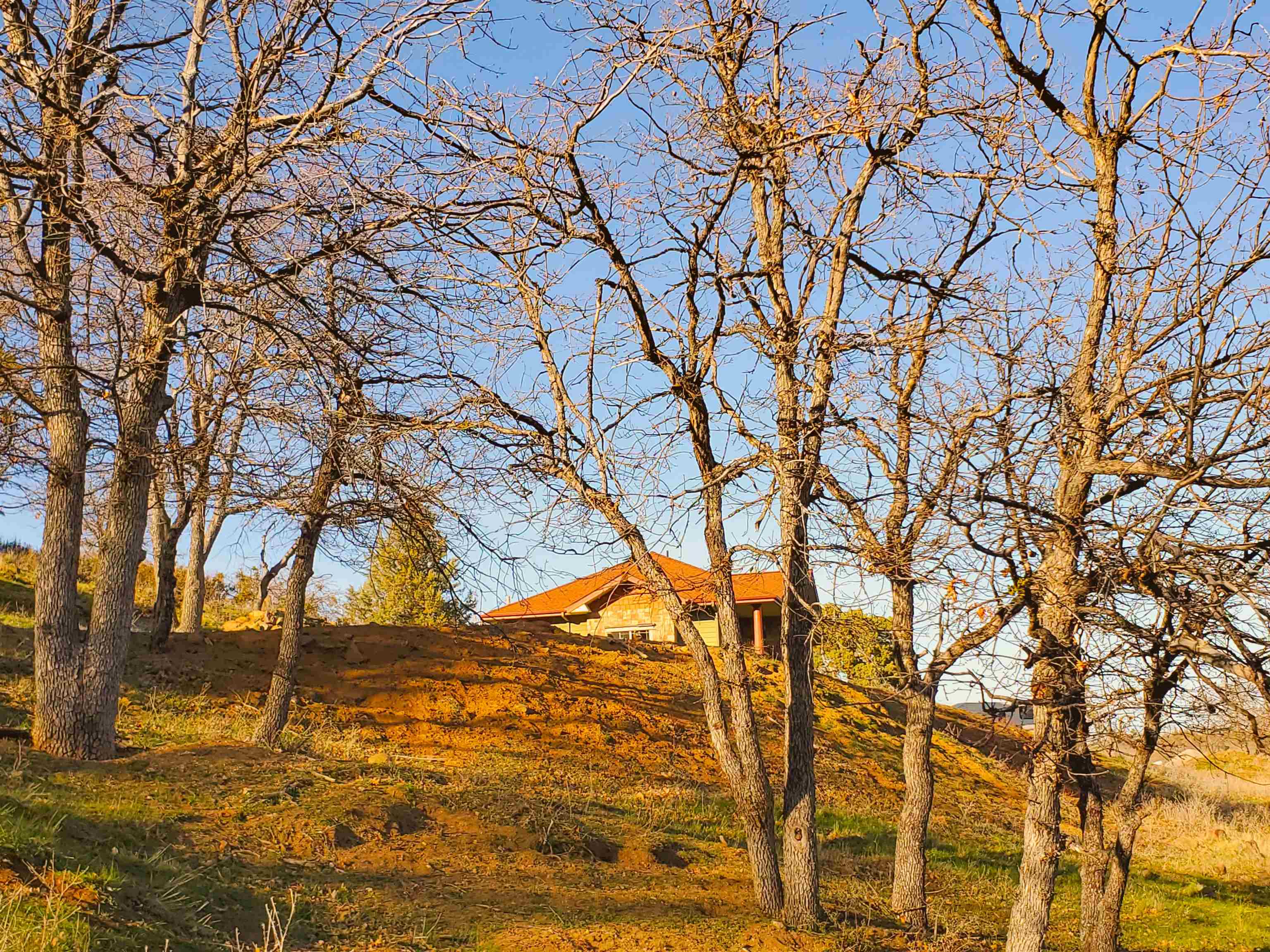 11901 Rabbit Place Hornbrook, CA 96044 - Photo 4 of 26 Gallery Image 4