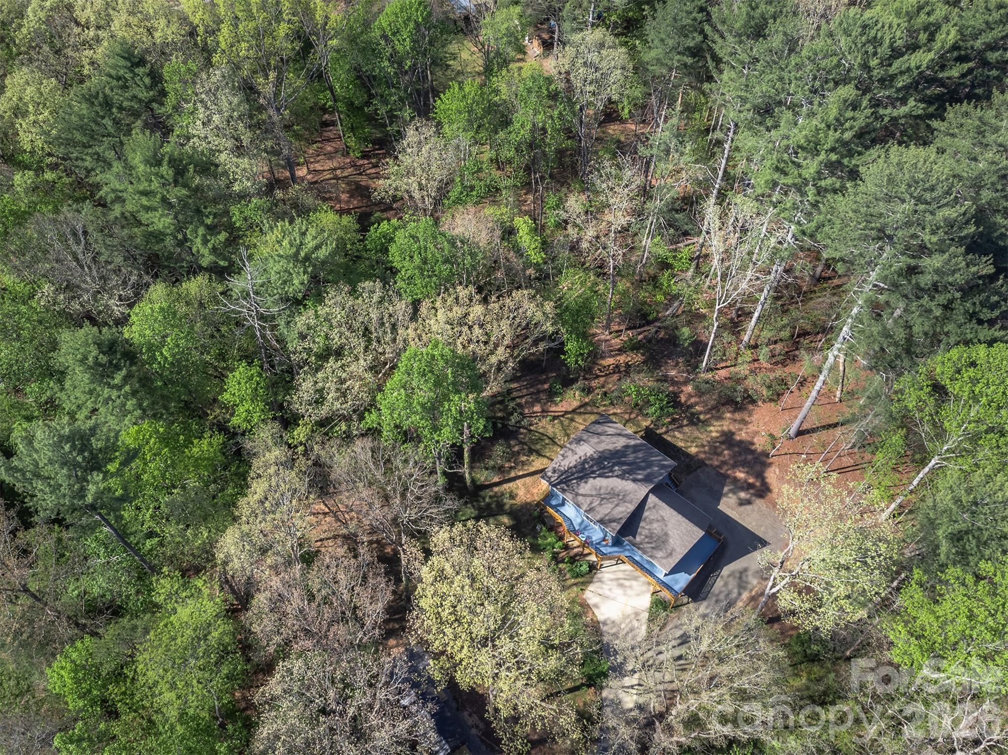 233 Bryant Ridge Road Swannanoa, NC 28778 - Photo 26 of 34