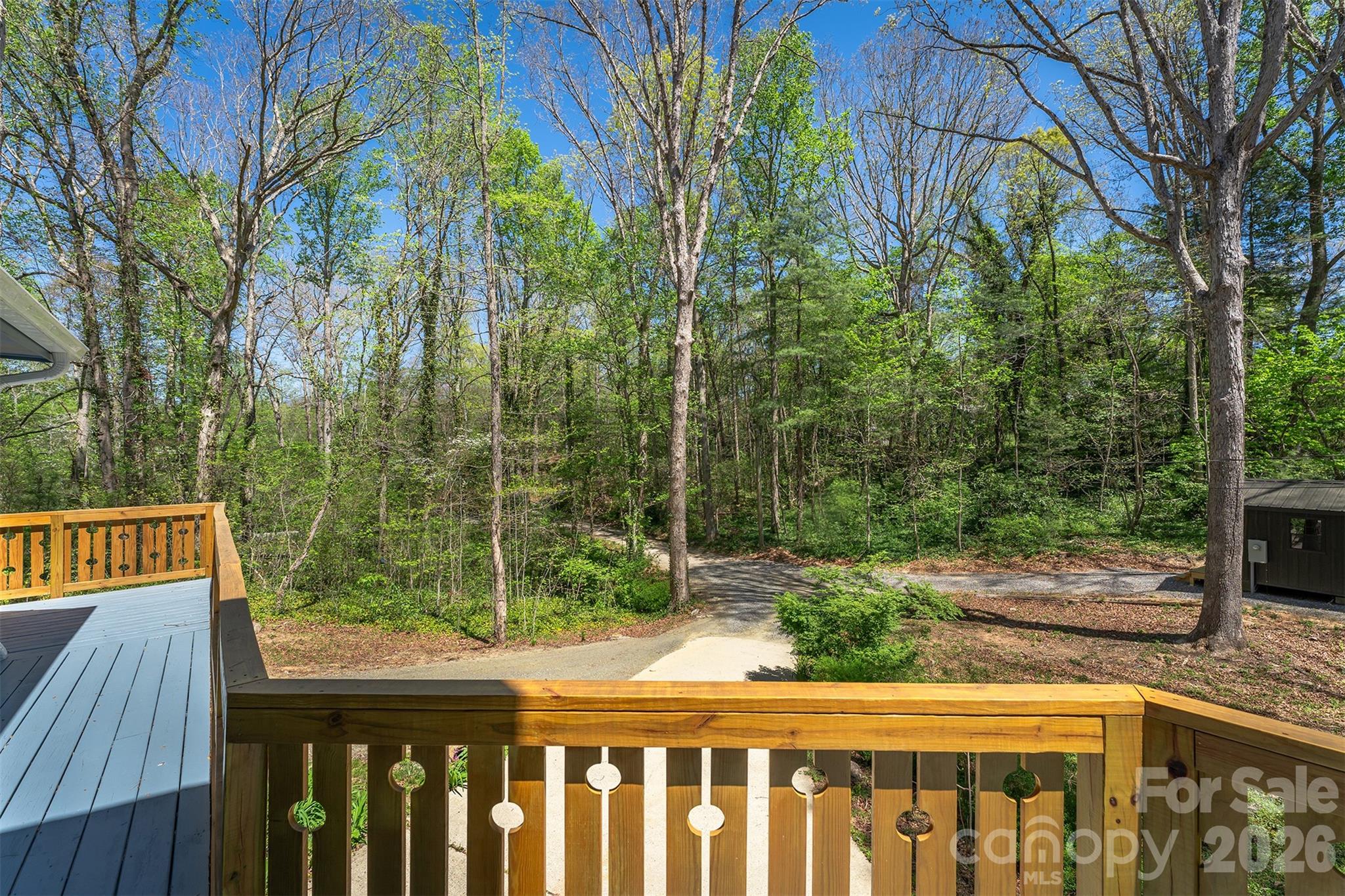 233 Bryant Ridge Road Swannanoa, NC 28778 - Photo 33 of 34