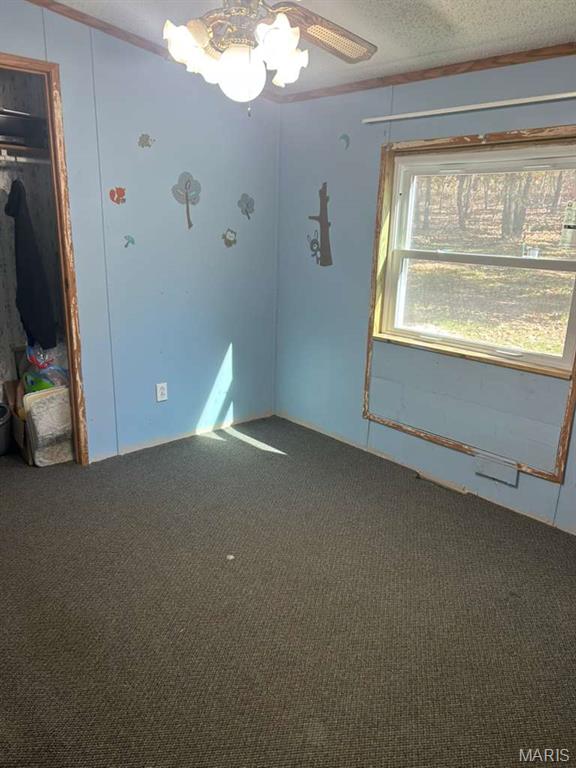 10270 Autumn Road Cadet, MO 63630 - Photo 11 of 28