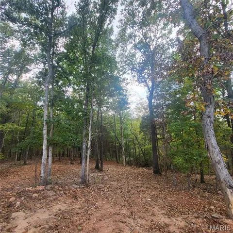 $135,000 | 10270 Autumn Road, Cadet, MO 63630