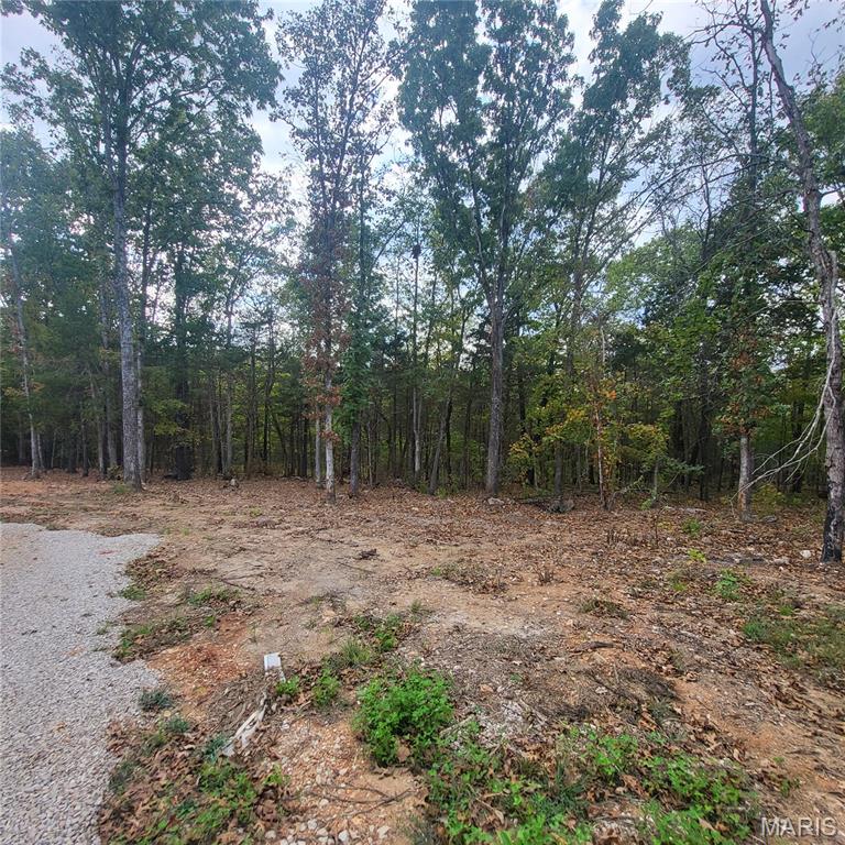 10270 Autumn Road Cadet, MO 63630 - Photo 27 of 28