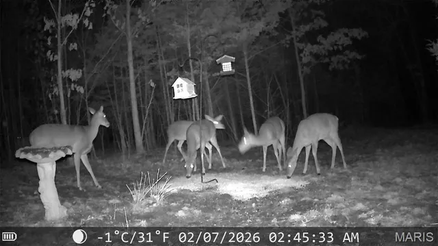 $115,000 | 10270 Autumn Road, Cadet, MO 63630