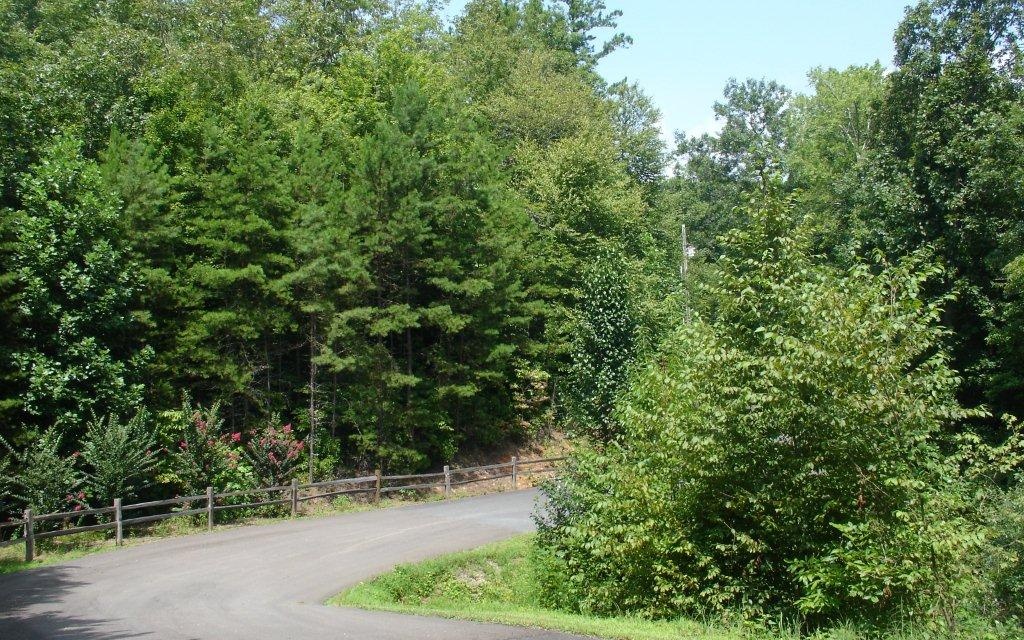 North Dream Catcher Blue Ridge, GA 30513 - Photo 2 of 4 Additional View