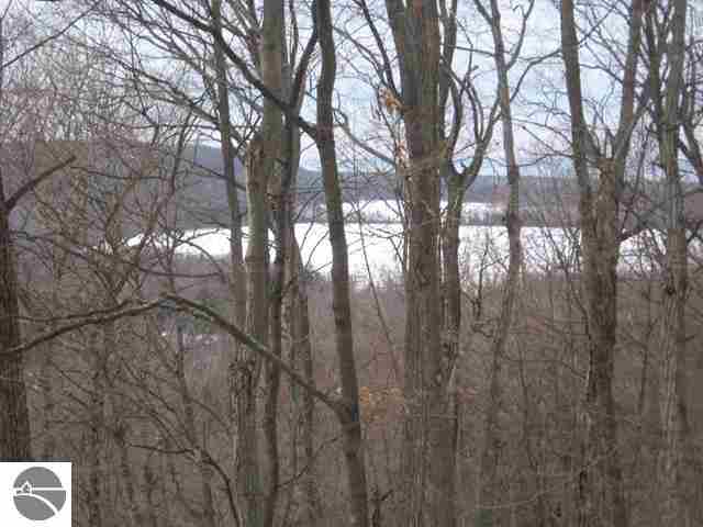 0 South Bohemian Road Maple City, MI 49664 - Photo 9 of 10 1743679-8.JPG
