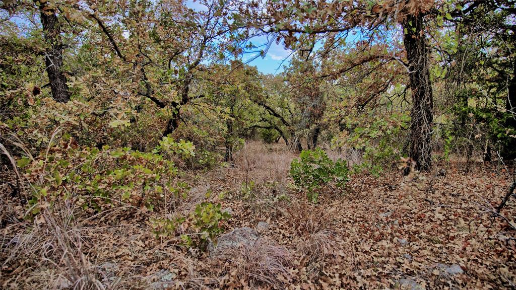 Tbd Dixie School Road Nocona, TX 76255 - Photo 21 of 38 Gallery Image 21