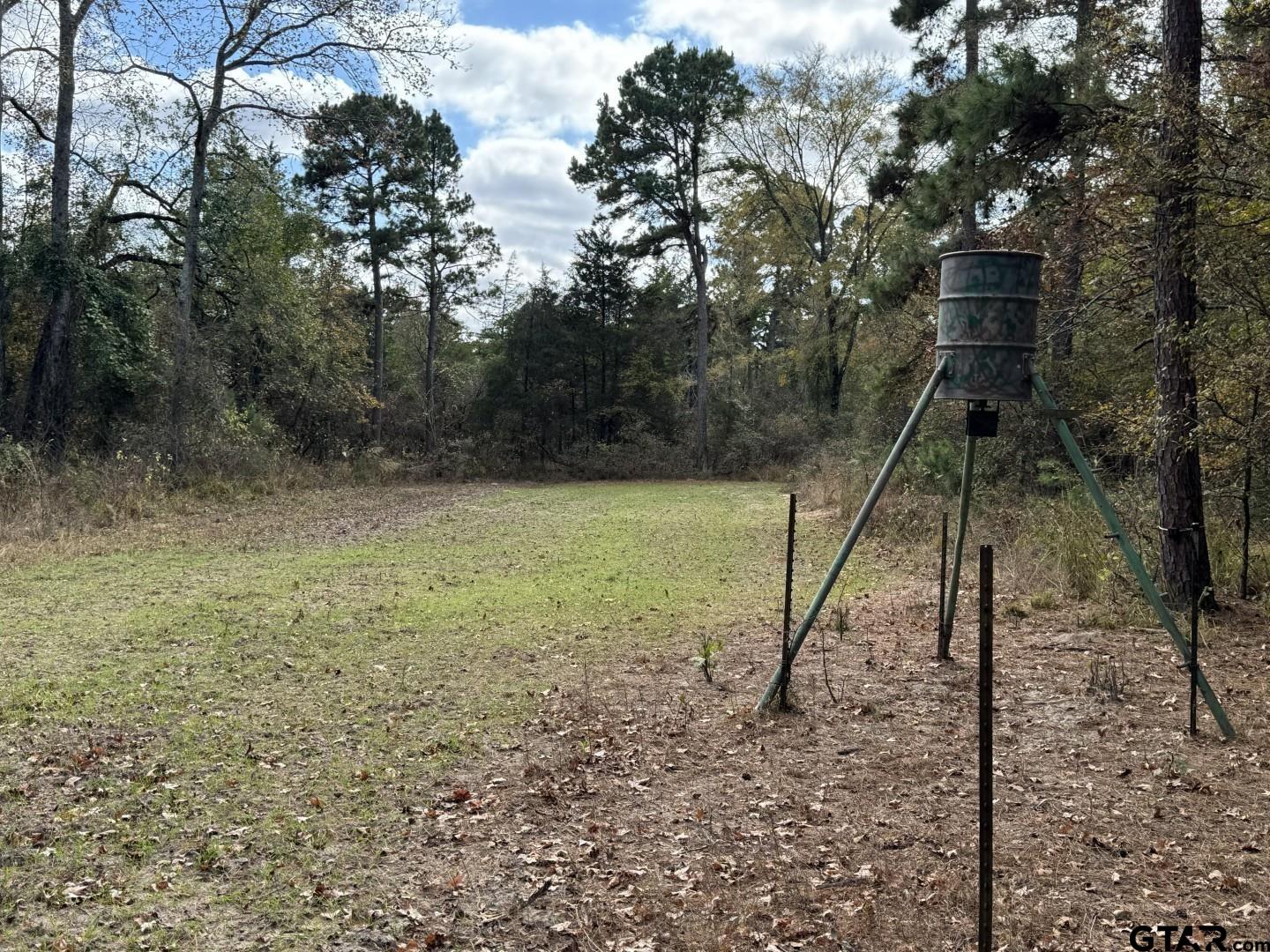 Tbd Stag Road Winnsboro, TX 75494 - Photo 11 of 44 a view of a house with a park