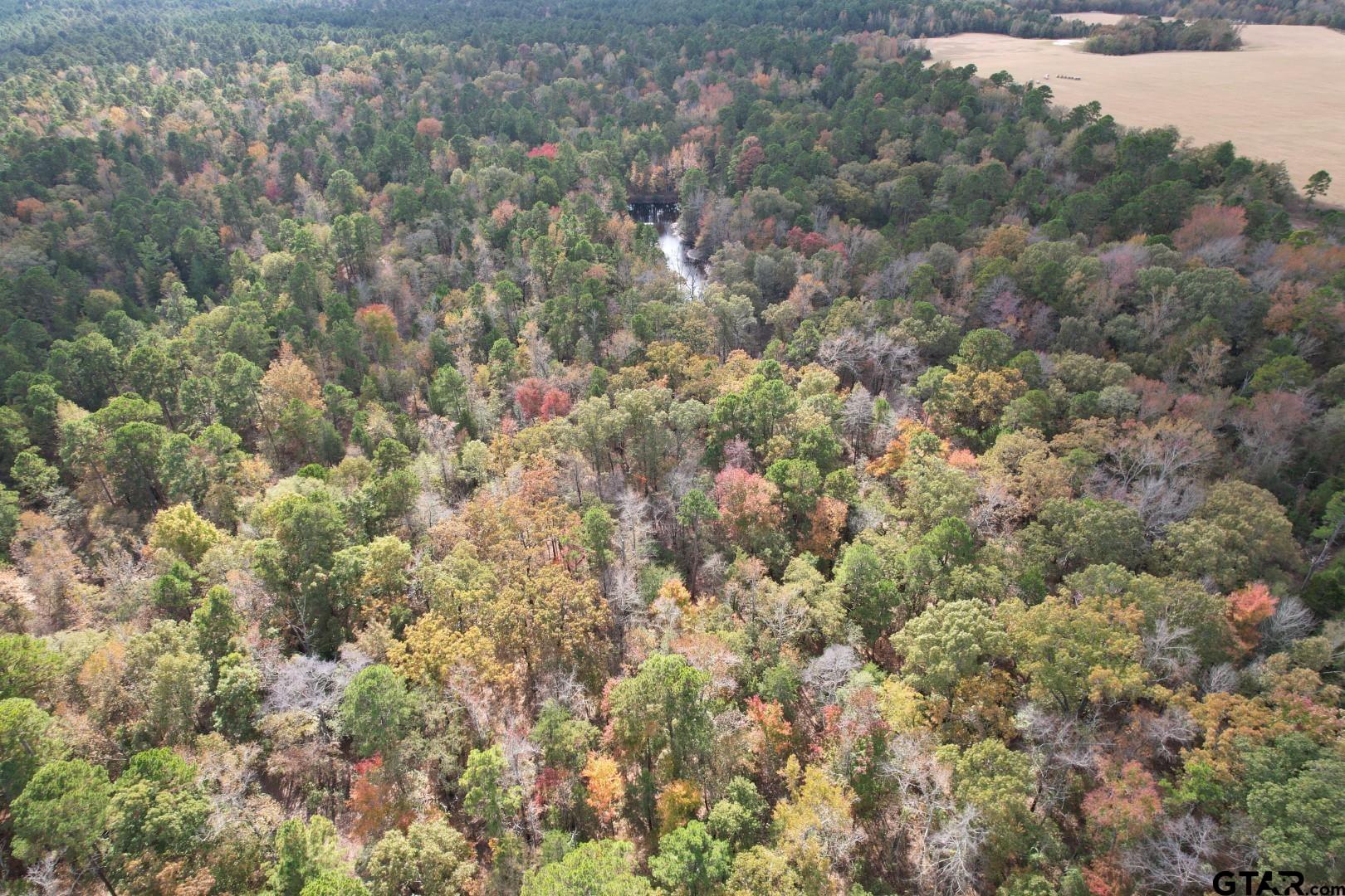 Tbd Stag Road Winnsboro, TX 75494 - Photo 15 of 44