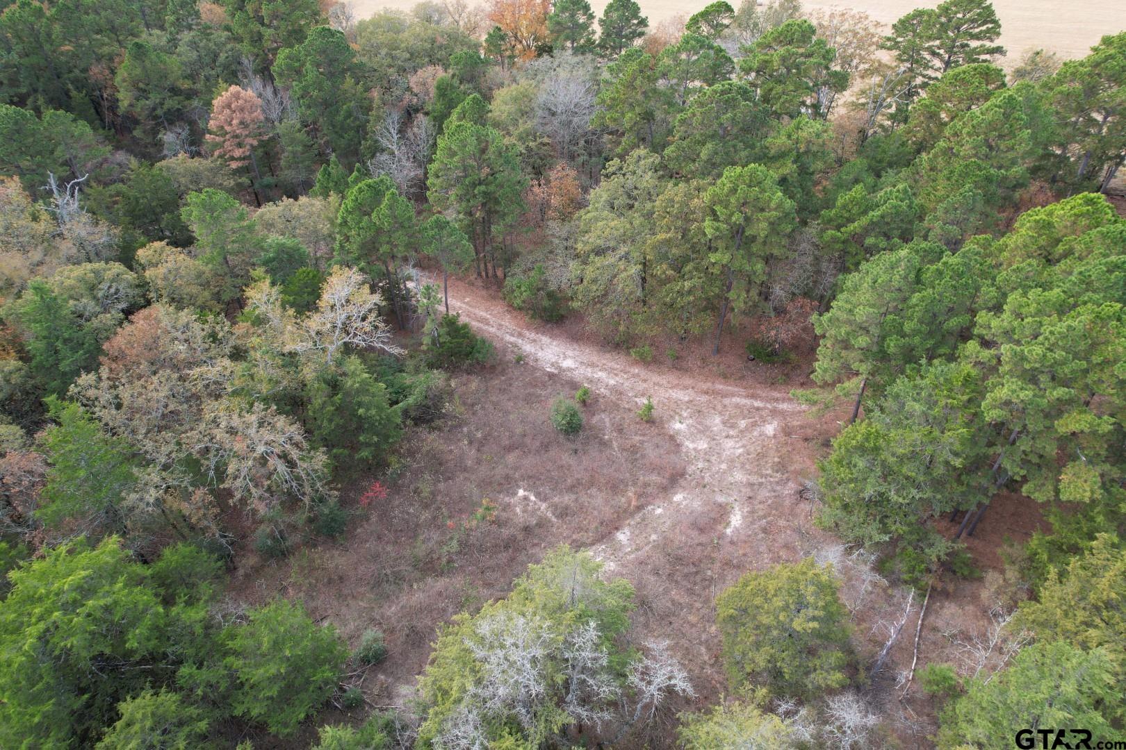 Tbd Stag Road Winnsboro, TX 75494 - Photo 16 of 44 a view of a yard with a tree