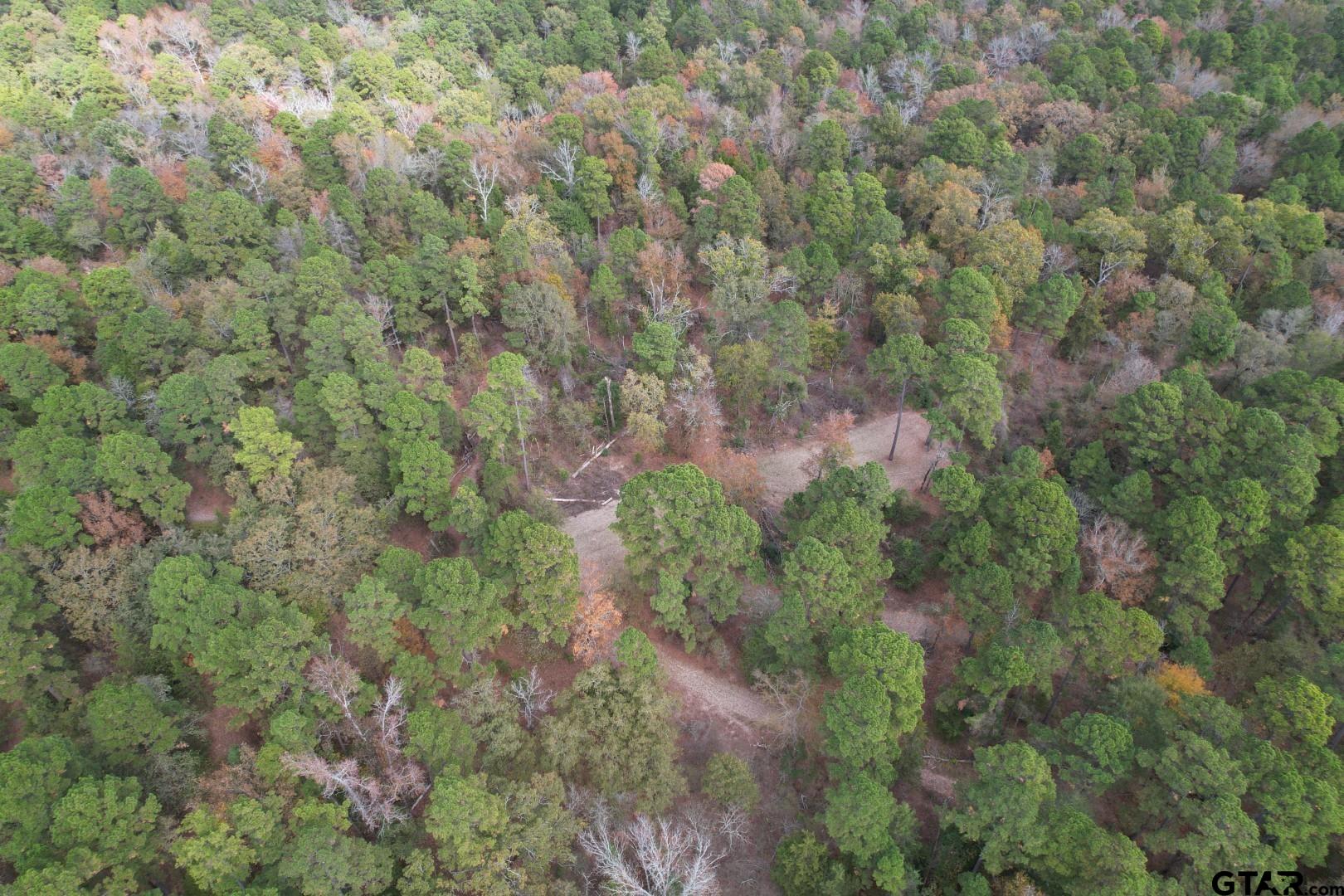 Tbd Stag Road Winnsboro, TX 75494 - Photo 19 of 44 a view of a forest with a forest