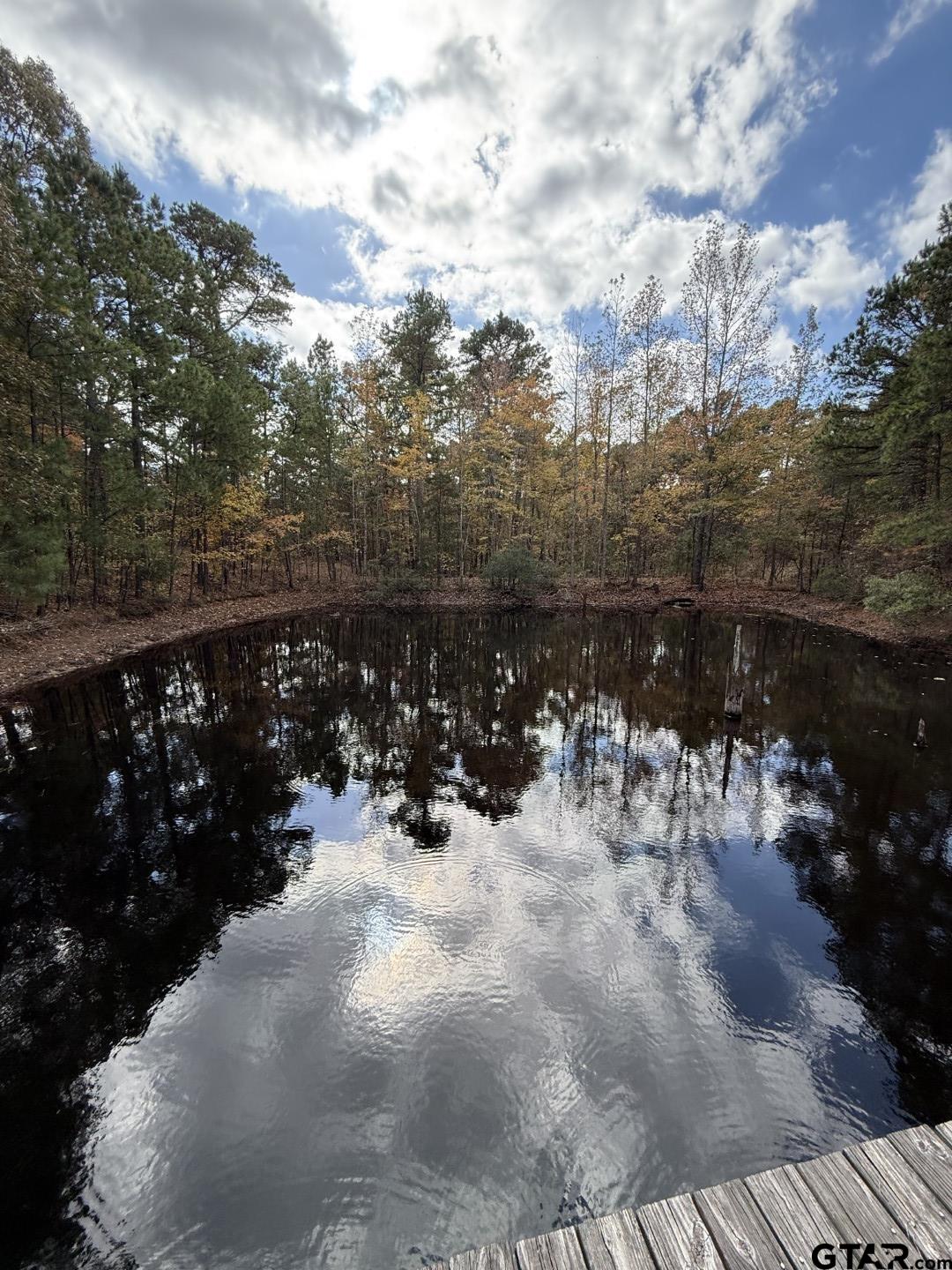 Tbd Stag Road Winnsboro, TX 75494 - Photo 24 of 44 a view of a yard with wooden fence