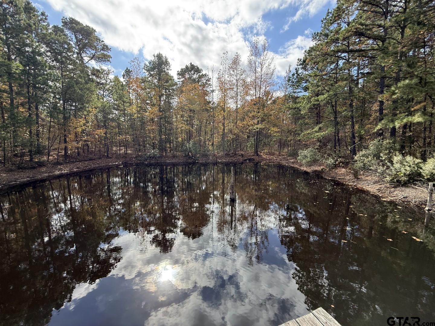 Tbd Stag Road Winnsboro, TX 75494 - Photo 25 of 44 a view of a yard with wooden fence