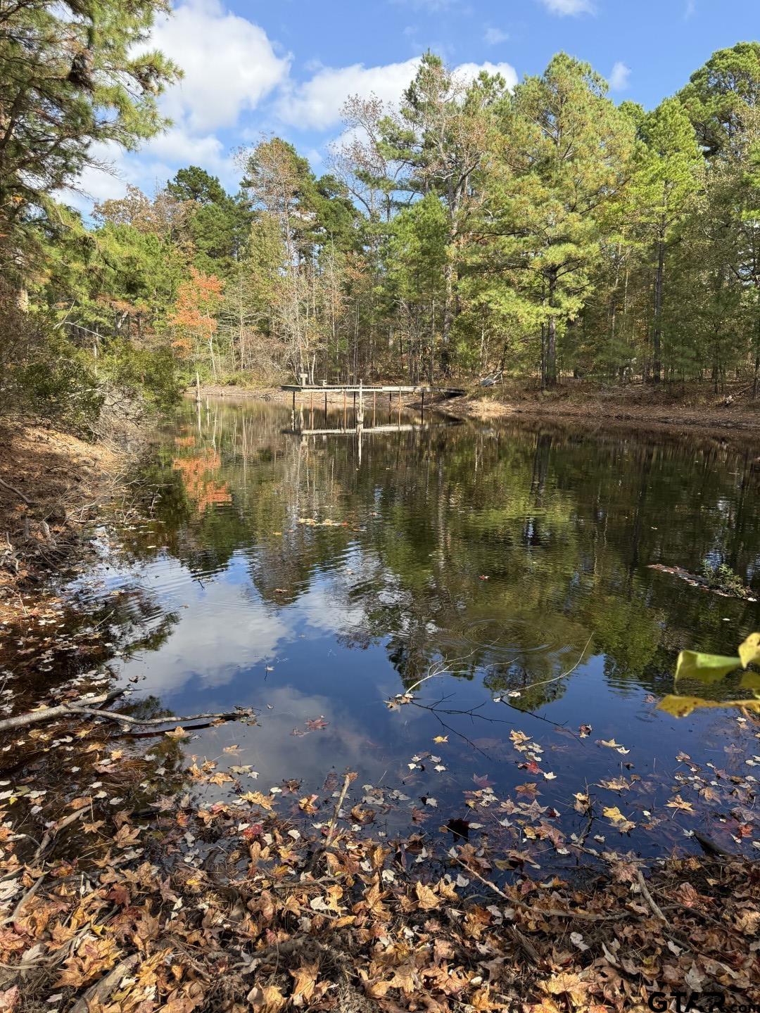 Tbd Stag Road Winnsboro, TX 75494 - Photo 26 of 44 a view of a lake view