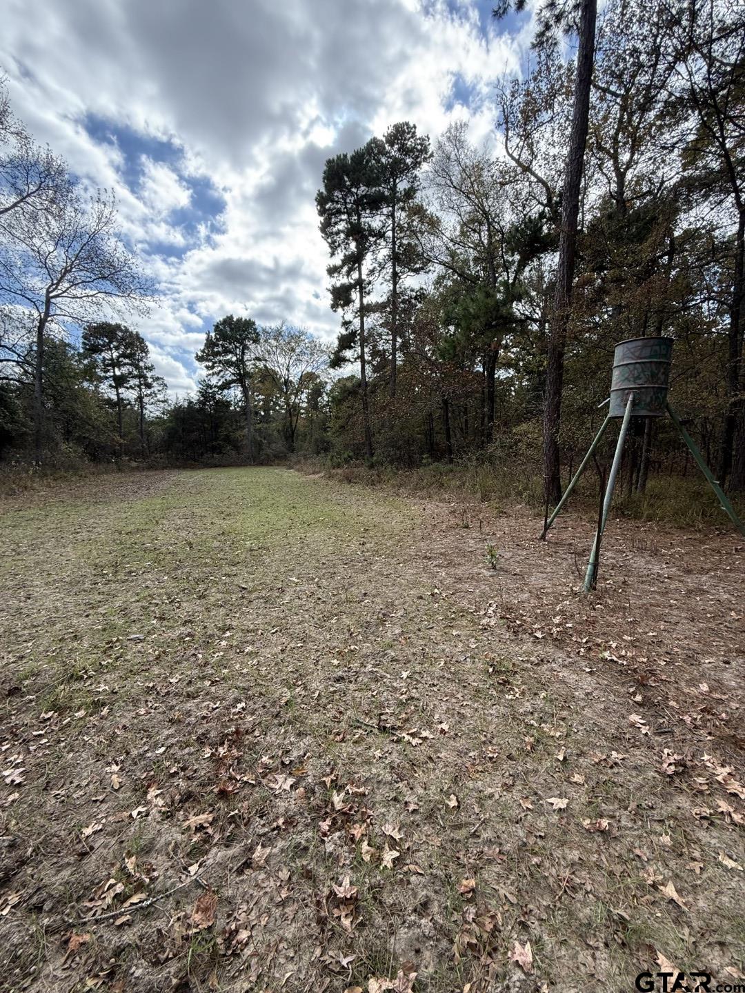 Tbd Stag Road Winnsboro, TX 75494 - Photo 29 of 44 a view of a yard