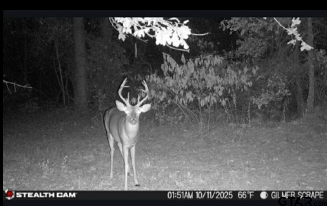 Tbd Stag Road Winnsboro, TX 75494 - Photo 3 of 44