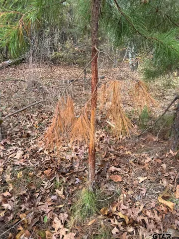 a room with storage and utility