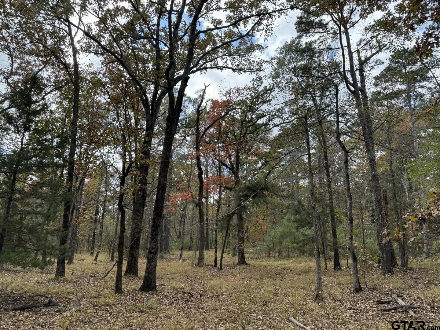 Tbd Stag Road Winnsboro, TX 75494 - Photo 44 of 44 a view of outdoor space with trees