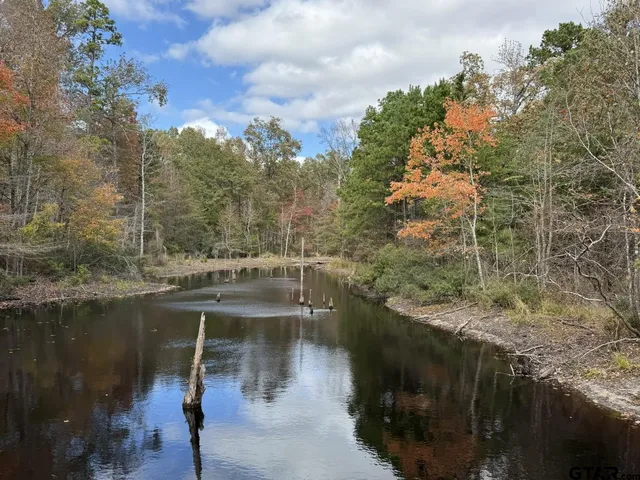 a view of a garden with an outdoor space