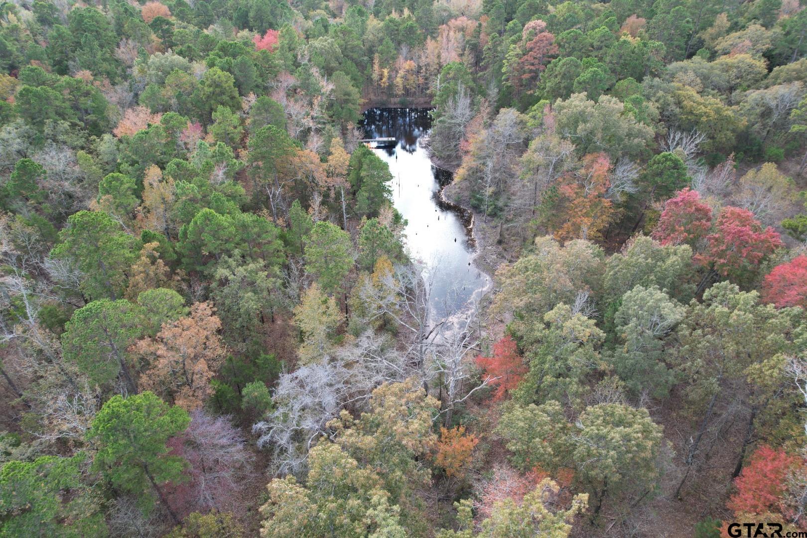 Tbd Stag Road Winnsboro, TX 75494 - Photo 7 of 44 a picture of trees