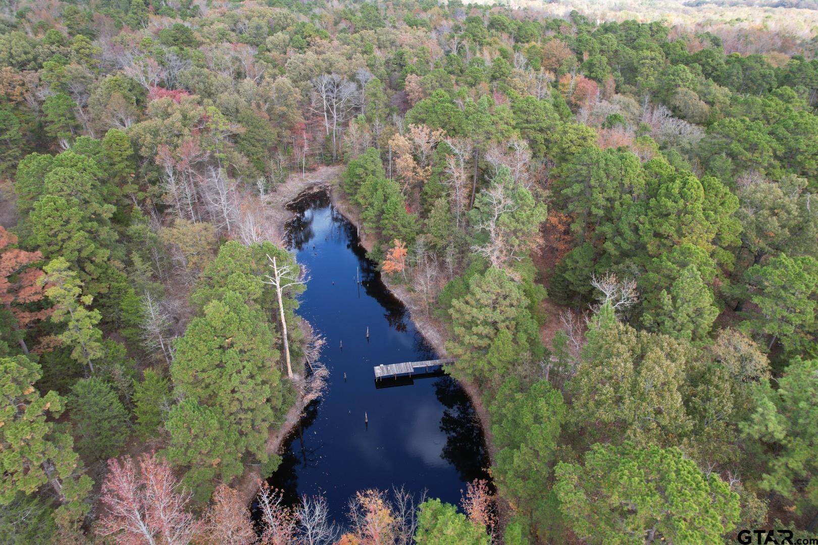 Tbd Stag Road Winnsboro, TX 75494 - Photo 8 of 44 a view of a garden with an outdoor space