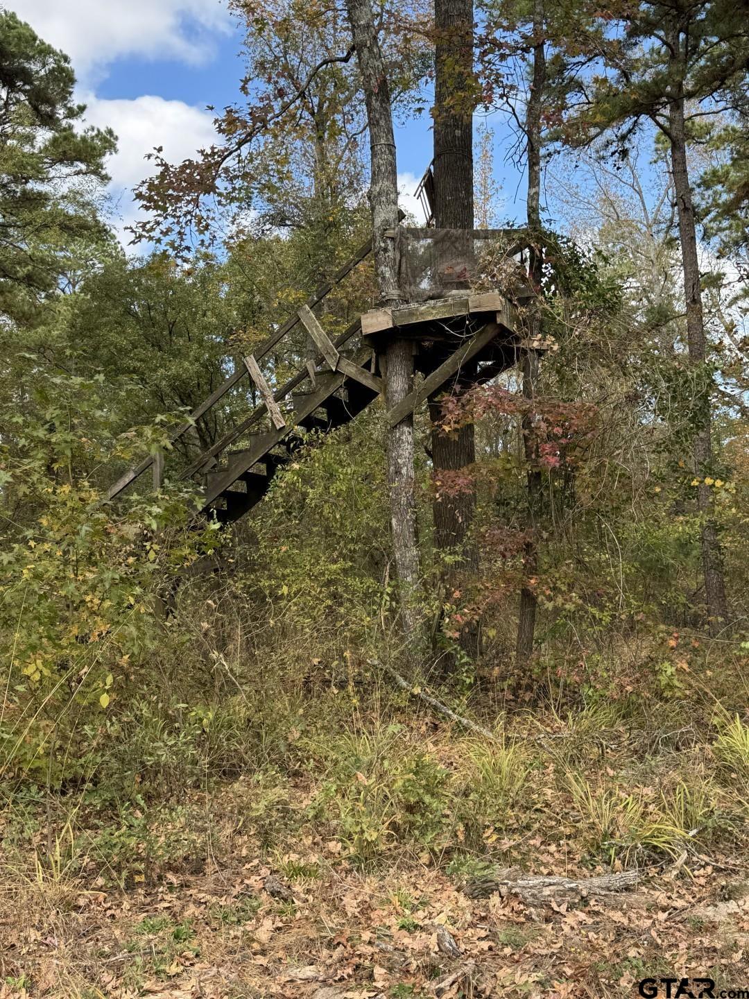Tbd Stag Road Winnsboro, TX 75494 - Photo 10 of 44 a backyard of a house with lots of green space