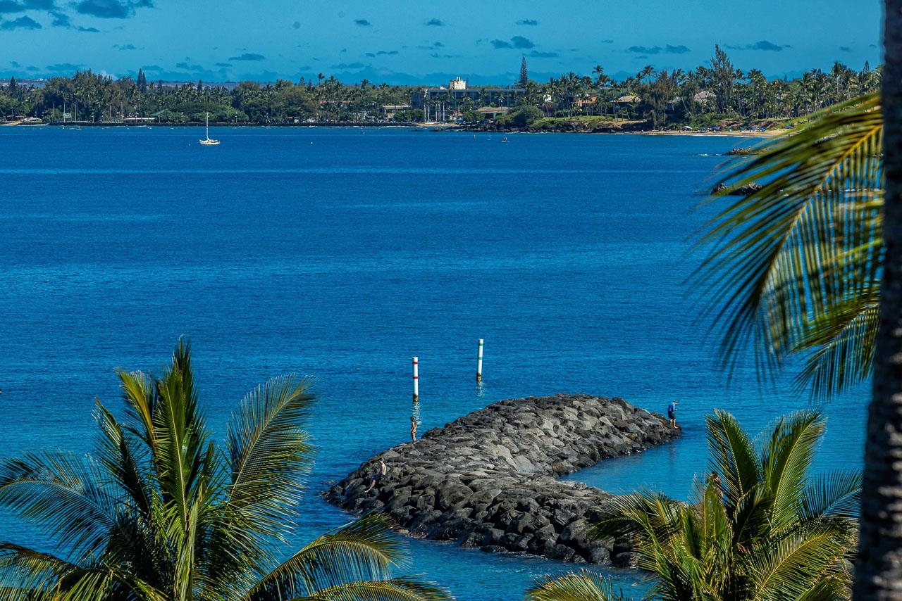 2936 South Kihei Road, Unit 613 Kihei, HI 96753 - Photo 34 of 46 a view of a yard