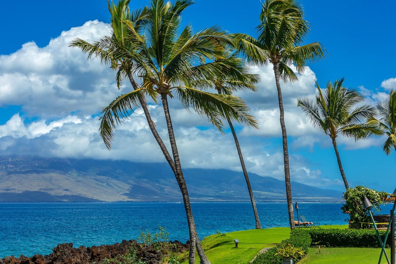2936 South Kihei Road, Unit 613 Kihei, HI 96753 - Photo 44 of 46 a view of a backyard
