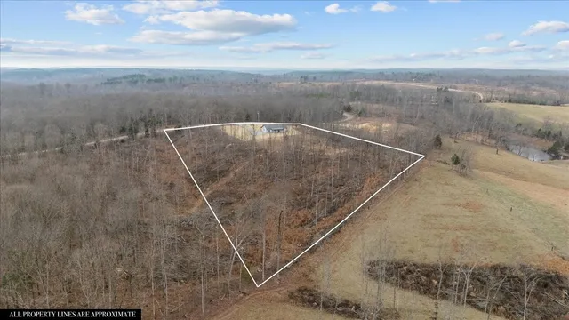 a backyard of a building with trees in the background
