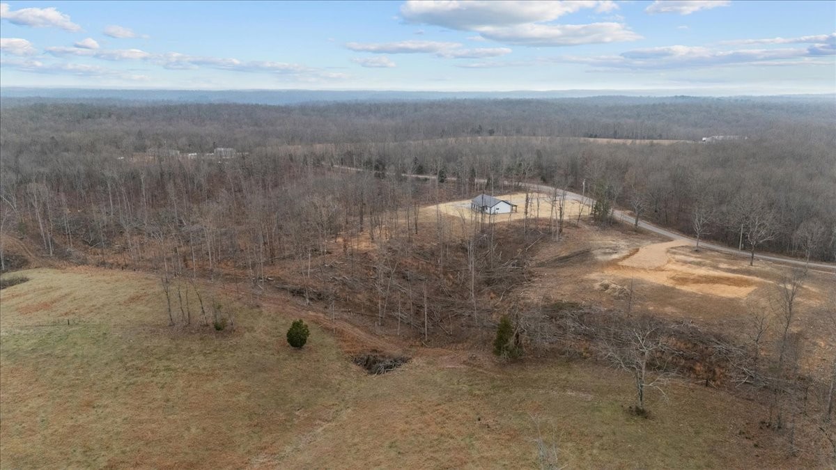 1690 Lucas Ridge Waverly, TN 37185 - Photo 46 of 47